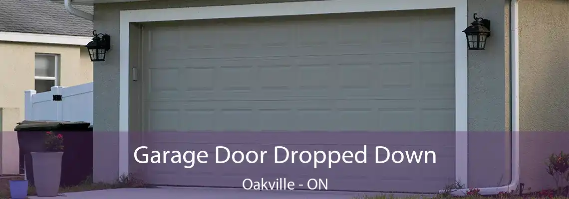 Garage Door Dropped Down Oakville - ON