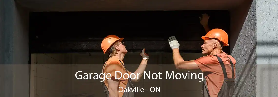 Garage Door Not Moving Oakville - ON