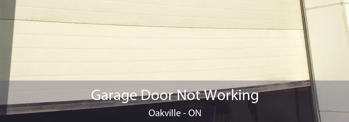 Garage Door Not Working Oakville - ON