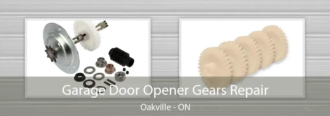 Garage Door Opener Gears Repair Oakville - ON