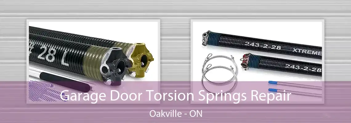 Garage Door Torsion Springs Repair Oakville - ON