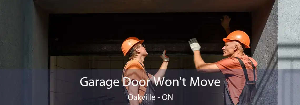 Garage Door Won't Move Oakville - ON
