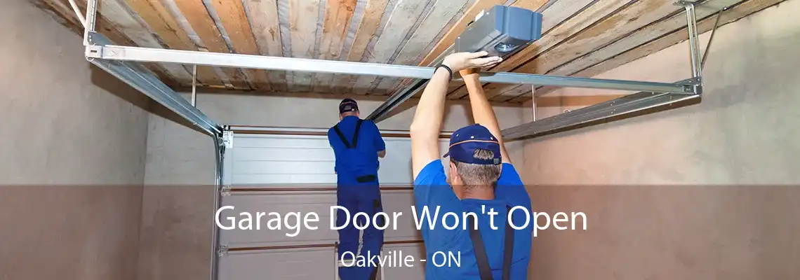 Garage Door Won't Open Oakville - ON